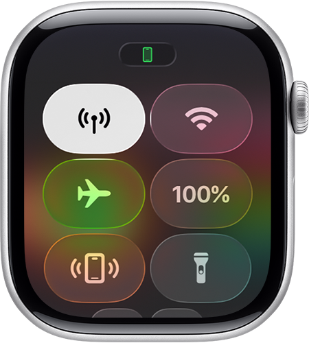 Apple Watch 上的「控制中心」。