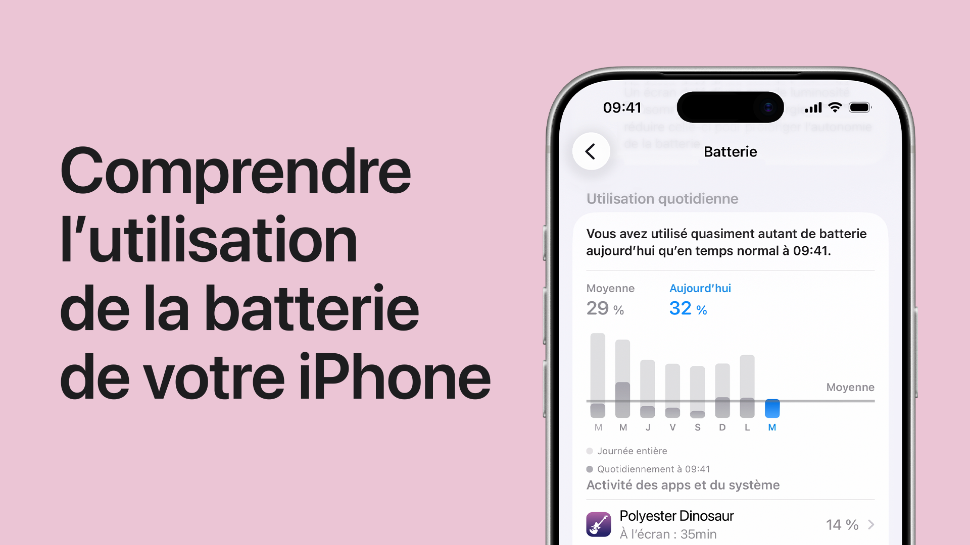 Lire la vidéo