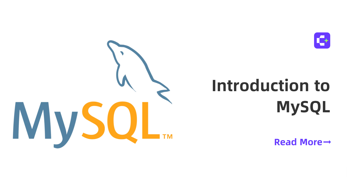 MySQL入门:初学者综合指南