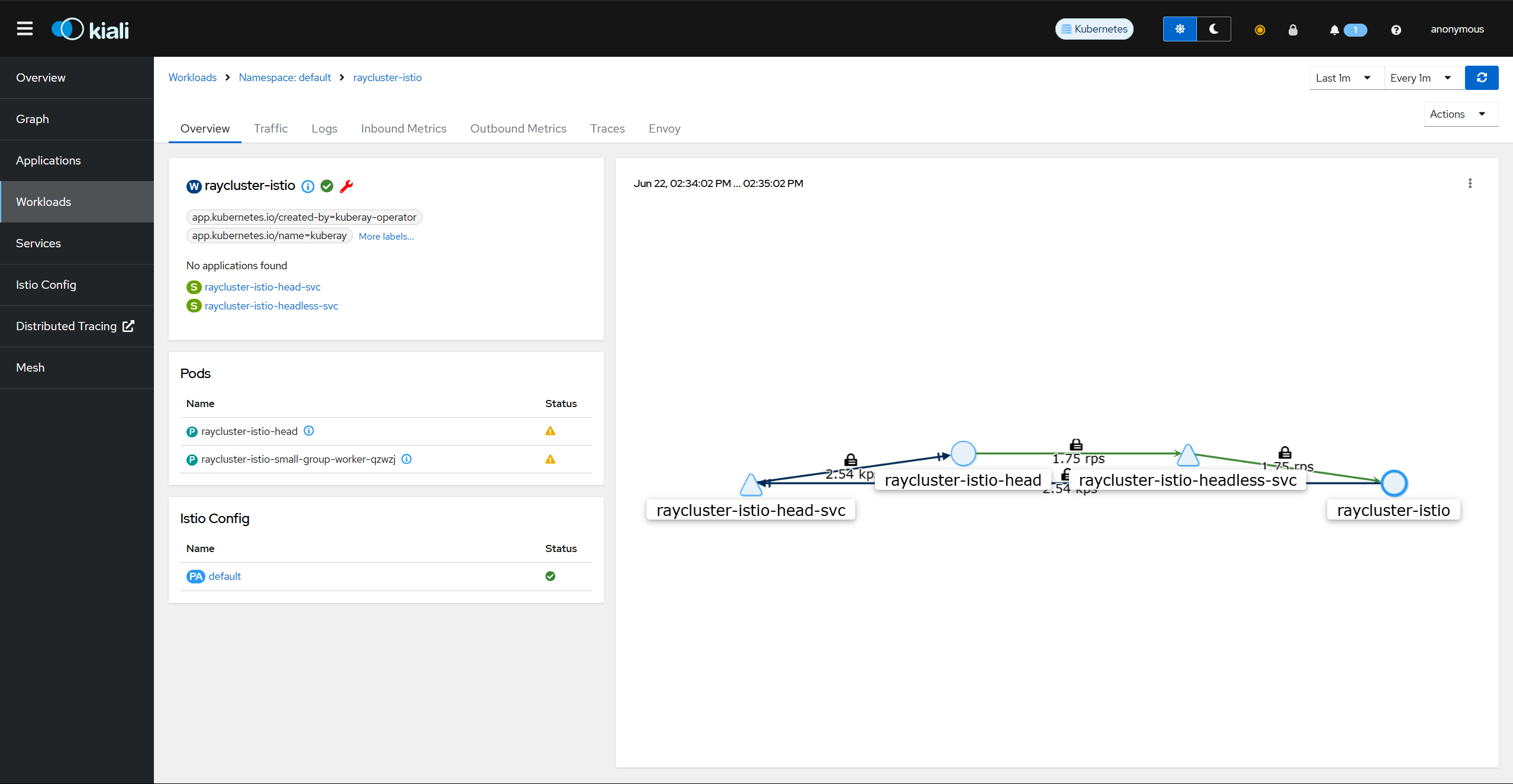 Istio Kiali Overview