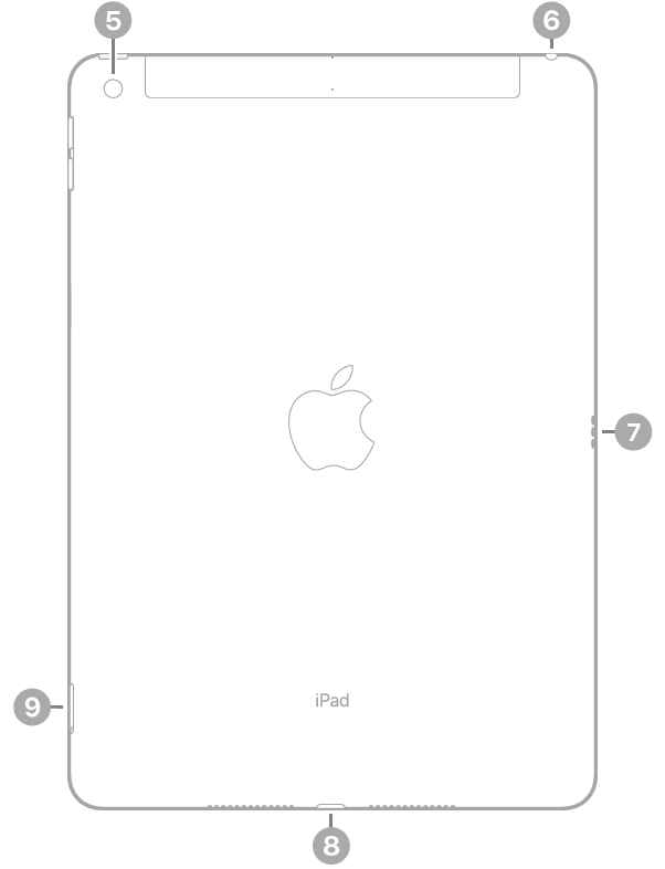 Achterkant van de iPad met bijschriften voor de camera aan de achterkant linksbovenin, de koptelefoonaansluiting rechtsbovenin, de Smart Connector aan de rechterkant, de Lightning-connector in het midden onderin en de simkaarthouder (Wi-Fi + Cellular) linksonderin.