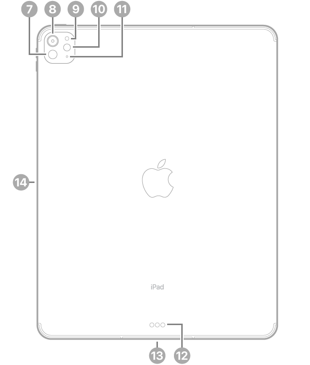 The back view of iPad Pro with callouts to LiDAR, the rear camera, rear ambient light sensor, flash, and microphone at the top left, the Smart Connector and USB-C connector at the bottom center, and the magnetic connector for Apple Pencil on the left.