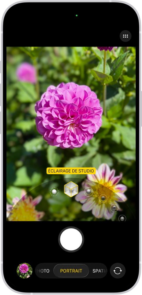 L’écran Appareil photo en mode Portrait ; dans le viseur, le sujet est net et l’arrière-plan flou. Le cadran permettant de sélectionner « Éclairage de portrait » est ouvert en bas du cadre et « Éclairage de studio » est sélectionné.