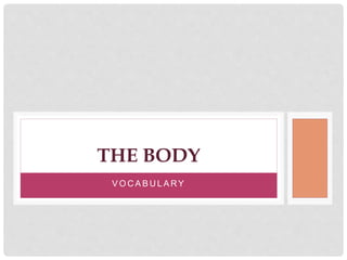 V O C A B U L A RY
THE BODY