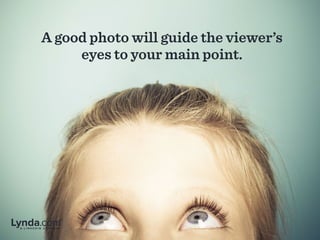 A good photo will guide the viewer’s
eyes to your main point.