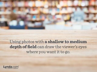 Using photos with a shallow to medium
depth of field can draw the viewer’s eyes
where you want it to go.