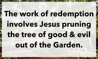 The work of redemption
involves Jesus pruning
the tree of good & evil
out of the Garden.