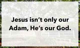 Jesus isn’t only our
Adam, He’s our God.

 