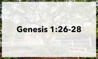 Genesis 1:26-28

 