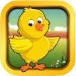 duck app icon small