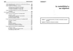 XLIV
TEORIA CONTABLE
17.5.2. Características de las organizaciones profesionales del Mercosur ... 384
17.5.3. Comisiones técn