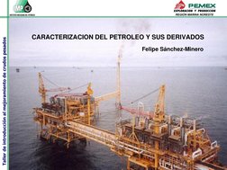 Taller de introducción al mejoramiento de crudos pesados
REGIÓN MARINA NORESTE
CARACTERIZACION DEL PETROLEO Y SUS DERIVADOS