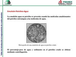 Taller de introducción al mejoramiento de crudos pesados
REGIÓN MARINA NORESTE
La emulsión agua en petróleo se presenta cuan