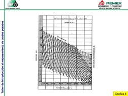 Taller de introducción al mejoramiento de crudos pesados
REGIÓN MARINA NORESTE
Grafica 4