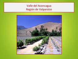 Valle del Aconcagua
Región de Valparaíso