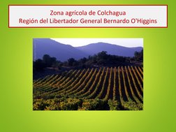 Zona agrícola de Colchagua
Región del Libertador General Bernardo O'Higgins