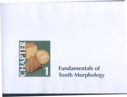 Fundamentals of
Tooth Morphology