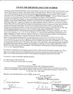 _l
I WANT THE BID BOI.{D AND
SIP NUMBER
Greetings, Clerk Thomas Kloeppinger, of the 22nd ludicial Circuit Court and the Fami