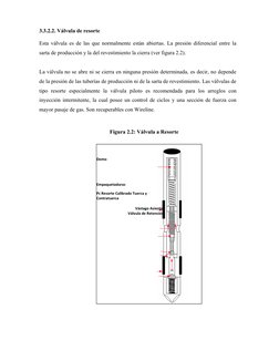 3.3.2.2. Válvula de resorte 
Esta válvula es de las que normalmente están abiertas. La presión diferencial entre la
sarta de