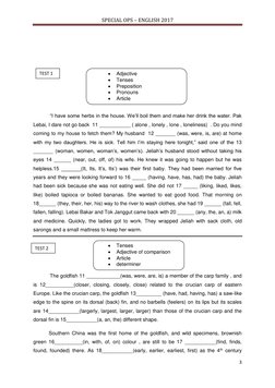 SPECIAL OPS – ENGLISH 2017
3
Adjective
Tenses
Preposition
Pronouns
Article
“I have so