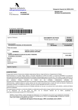 sede.agenciatributaria.gob.es
N.I.F. :
Nº de Referencia :
Agencia Tributaria
Modelo
DOCUMENTO DE PAGO
Periodo ejecutivo de pa