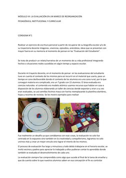 MÓDULO VII: LA EVALUACIÓN EN UN MARCO DE REORGANIZACIÓN 
PEDAGÓGICA, INSTITUCIONAL Y CURRICULAR 
 
 
CONSIGNA N°1 
 
Realizar