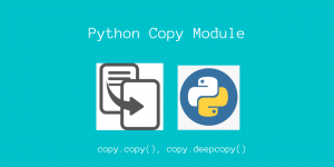 Python Copy Module